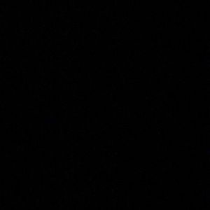 Meet your Posher, Alonzo